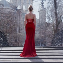 Vue arrière de la robe longue bustier fourreau de soirée en velour